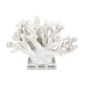 Atlas Coral Sculpture Set of 2 – Elegant Coastal Accents for Modern Décor, Unique Textures & Easy Care AC11203-01S