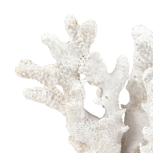 Atlas Coral Sculpture Set of 2 – Elegant Coastal Accents for Modern Décor, Unique Textures & Easy Care AC11203-01S