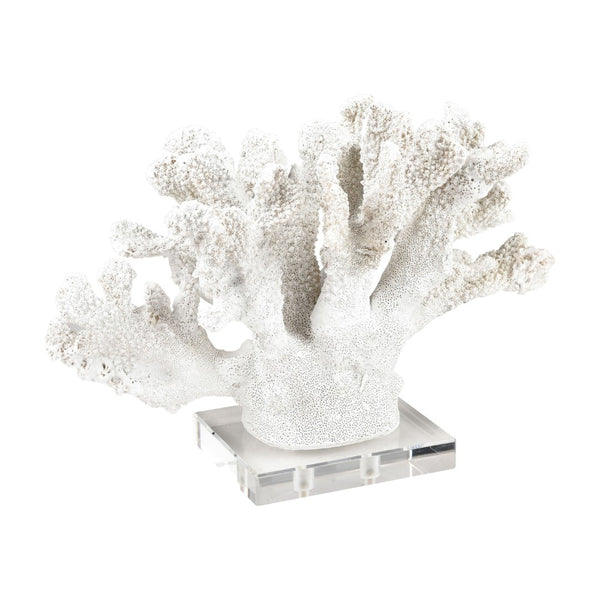 Atlas Coral Sculpture Set of 2 – Elegant Coastal Accents for Modern Décor, Unique Textures & Easy Care AC11203-01S
