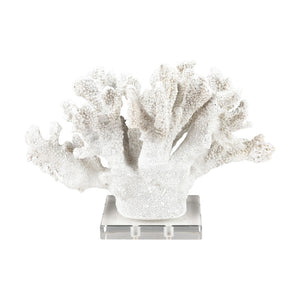 Atlas Coral Sculpture Set of 2 – Elegant Coastal Accents for Modern Décor, Unique Textures & Easy Care AC11203-01S