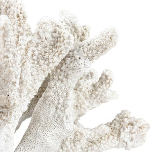 Atlas Coral Sculpture Set of 2 – Elegant Coastal Accents for Modern Décor, Unique Textures & Easy Care AC11203-01S