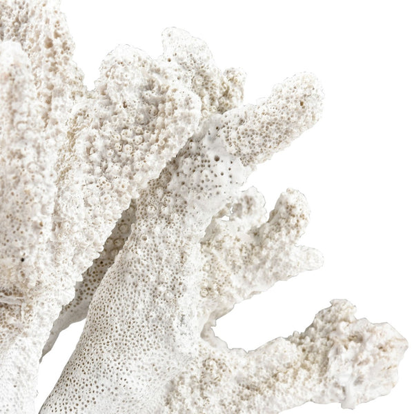 Atlas Coral Sculpture Set of 2 – Elegant Coastal Accents for Modern Décor, Unique Textures & Easy Care AC11203-01S