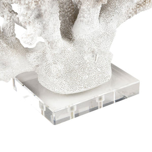 Atlas Coral Sculpture Set of 2 – Elegant Coastal Accents for Modern Décor, Unique Textures & Easy Care AC11203-01S