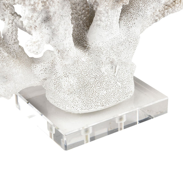 Atlas Coral Sculpture Set of 2 – Elegant Coastal Accents for Modern Décor, Unique Textures & Easy Care AC11203-01S