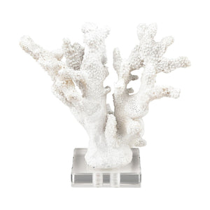 Atlas Coral Sculpture Set of 2 – Elegant Coastal Accents for Modern Décor, Unique Textures & Easy Care AC11203-01S