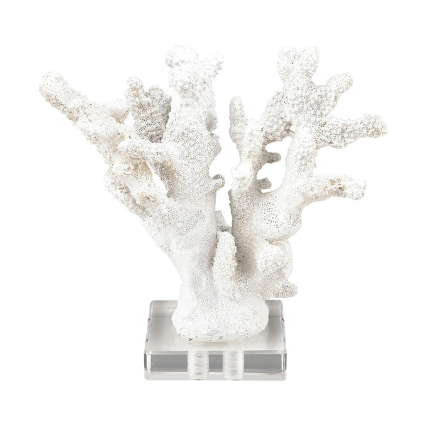 Atlas Coral Sculpture Set of 2 – Elegant Coastal Accents for Modern Décor, Unique Textures & Easy Care AC11203-01S