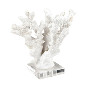 Atlas Coral Sculpture Set of 2 – Elegant Coastal Accents for Modern Décor, Unique Textures & Easy Care AC11203-01S