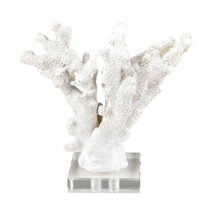 Atlas Coral Sculpture Set of 2 – Elegant Coastal Accents for Modern Décor, Unique Textures & Easy Care AC11203-01S