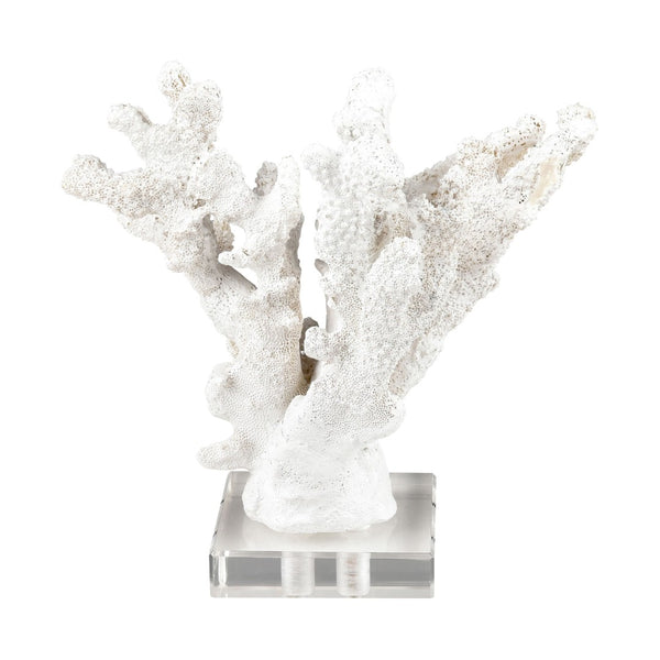 Atlas Coral Sculpture Set of 2 – Elegant Coastal Accents for Modern Décor, Unique Textures & Easy Care AC11203-01S