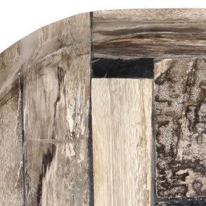 Atlas Deckham Tray - Unique Tiled Petrified Wood Accent for Stylish Home Décor & Organizing Essentials AC11233-01