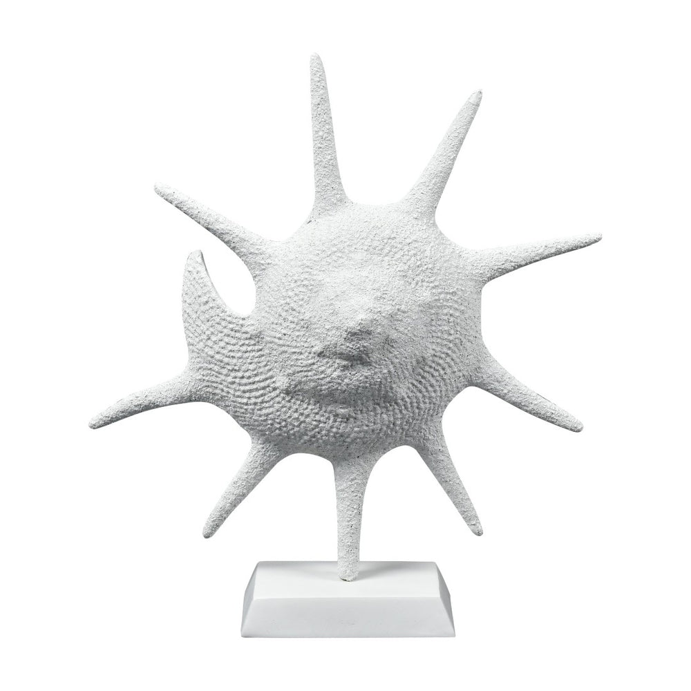 Atlas Marco Shell - Textured White Coastal Accent for Modern Interiors, Sculptural Decor for Home Styling AC11461-01