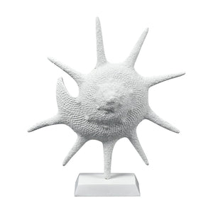 Atlas Marco Shell - Textured White Coastal Accent for Modern Interiors, Sculptural Decor for Home Styling AC11461-01