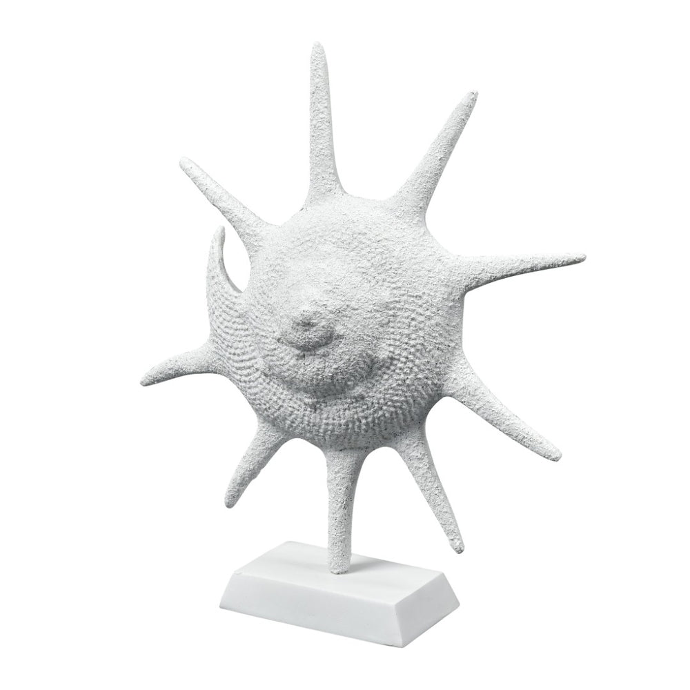 Atlas Marco Shell - Textured White Coastal Accent for Modern Interiors, Sculptural Decor for Home Styling AC11461-01