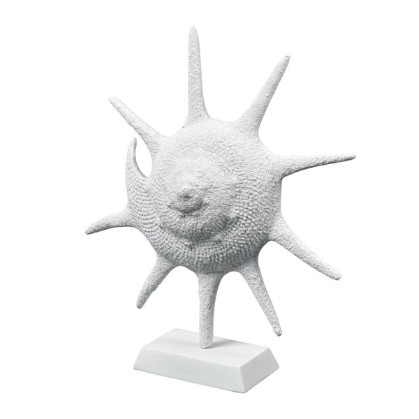 Atlas Marco Shell - Textured White Coastal Accent for Modern Interiors, Sculptural Decor for Home Styling AC11461-01