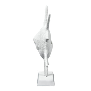 Atlas Marco Shell - Textured White Coastal Accent for Modern Interiors, Sculptural Decor for Home Styling AC11461-01