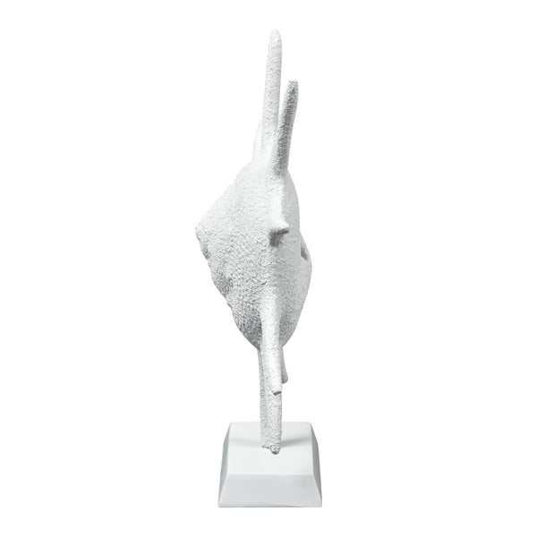 Atlas Marco Shell - Textured White Coastal Accent for Modern Interiors, Sculptural Decor for Home Styling AC11461-01