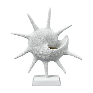 Atlas Marco Shell - Textured White Coastal Accent for Modern Interiors, Sculptural Decor for Home Styling AC11461-01