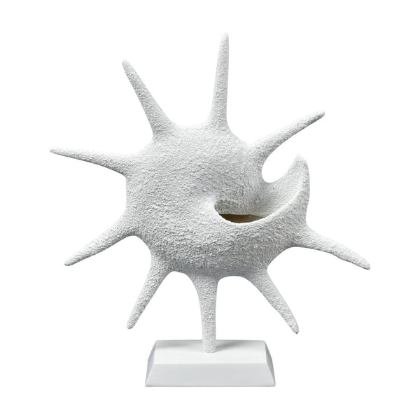 Atlas Marco Shell - Textured White Coastal Accent for Modern Interiors, Sculptural Decor for Home Styling AC11461-01