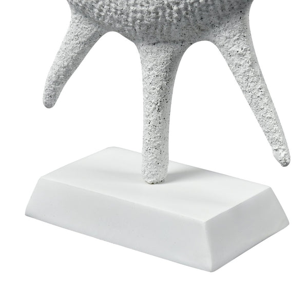 Atlas Marco Shell - Textured White Coastal Accent for Modern Interiors, Sculptural Decor for Home Styling AC11461-01