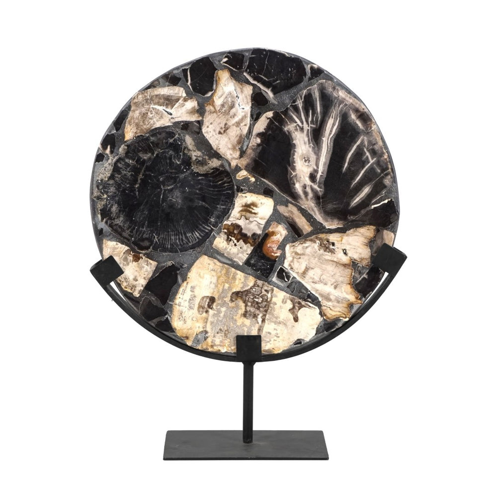 Atlas Radian Decorative Object - Unique Petrified Wood Sculpture on Black Metal Stand for Modern Interiors AC11544-01
