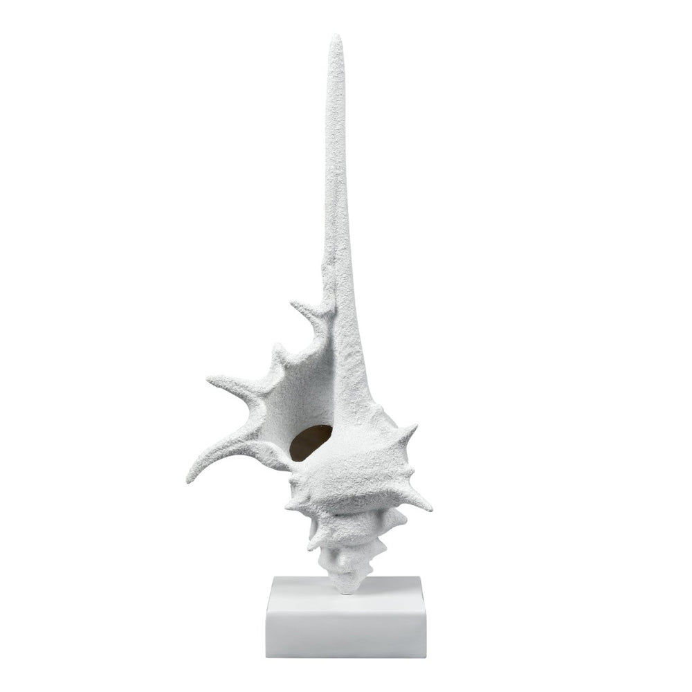 Atlas Tigertail Shell - Coastal Elegance Sculpture in Textured White for Modern Home Decor & Styling AC11641-01