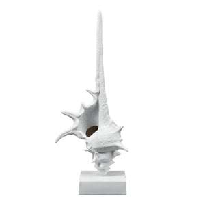 Atlas Tigertail Shell - Coastal Elegance Sculpture in Textured White for Modern Home Decor & Styling AC11641-01