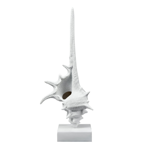 Atlas Tigertail Shell - Coastal Elegance Sculpture in Textured White for Modern Home Decor & Styling AC11641-01