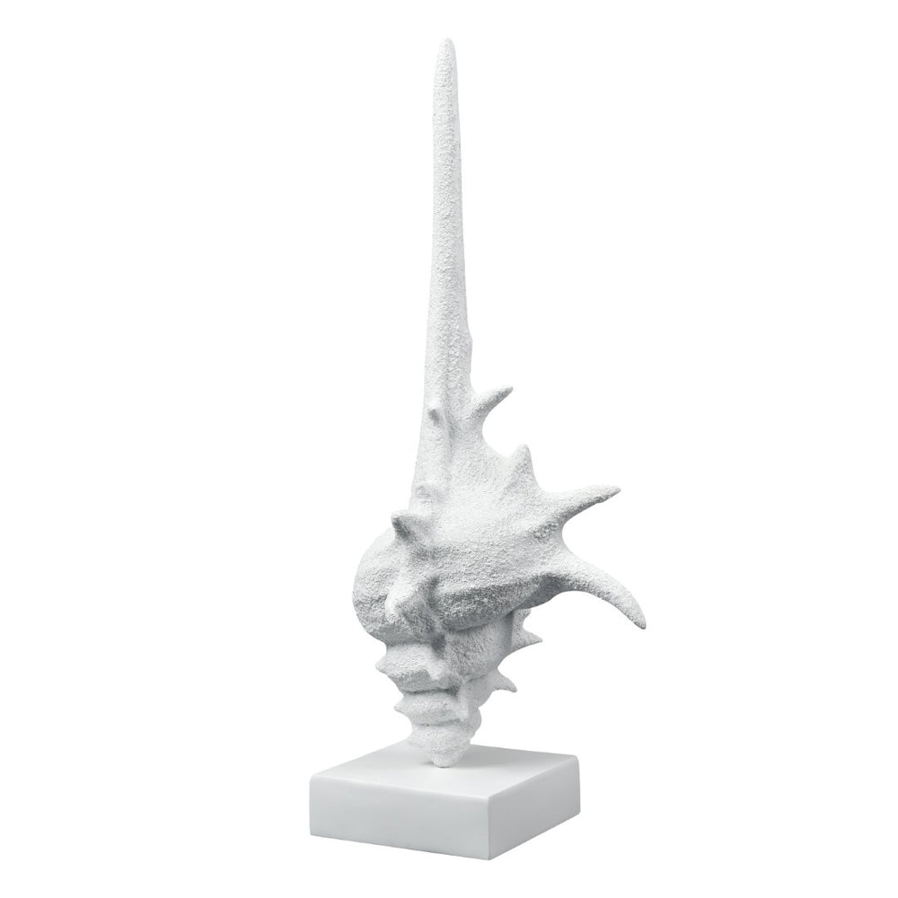 Atlas Tigertail Shell - Coastal Elegance Sculpture in Textured White for Modern Home Decor & Styling AC11641-01