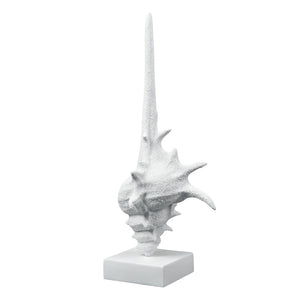 Atlas Tigertail Shell - Coastal Elegance Sculpture in Textured White for Modern Home Decor & Styling AC11641-01