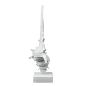 Atlas Tigertail Shell - Coastal Elegance Sculpture in Textured White for Modern Home Decor & Styling AC11641-01
