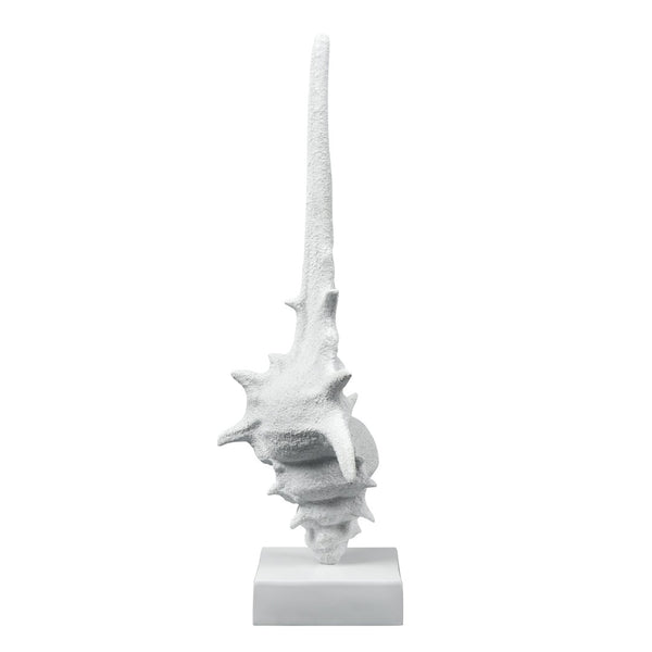 Atlas Tigertail Shell - Coastal Elegance Sculpture in Textured White for Modern Home Decor & Styling AC11641-01