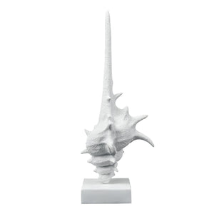 Atlas Tigertail Shell - Coastal Elegance Sculpture in Textured White for Modern Home Decor & Styling AC11641-01