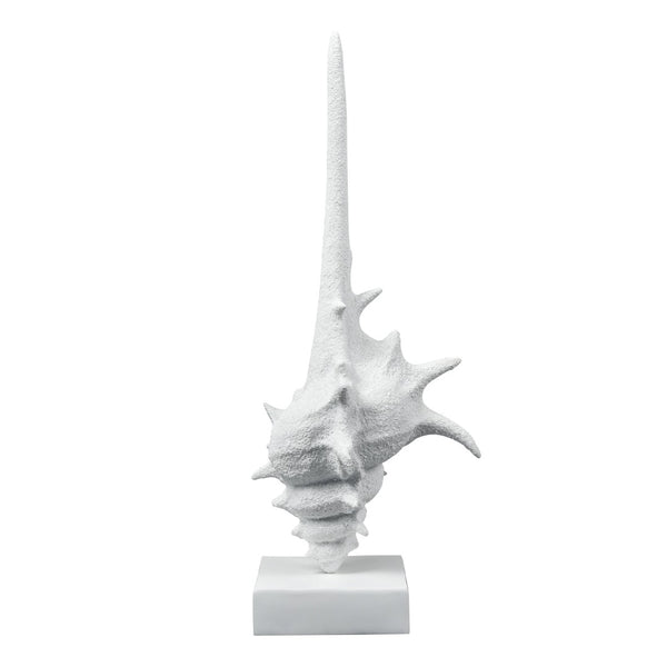 Atlas Tigertail Shell - Coastal Elegance Sculpture in Textured White for Modern Home Decor & Styling AC11641-01