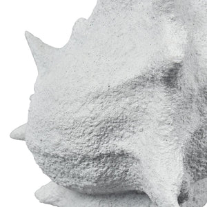Atlas Tigertail Shell - Coastal Elegance Sculpture in Textured White for Modern Home Decor & Styling AC11641-01