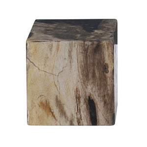 Atlas Vertex Decorative Object - Unique Petrified Wood Sculpture for Modern Rustic Home Accents & Decor AC11663-01