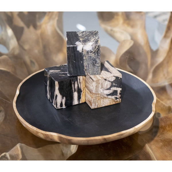Atlas Vertex Decorative Object - Unique Petrified Wood Sculpture for Modern Rustic Home Accents & Decor AC11663-01