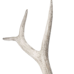 Atlas Weathered Resin Elk Antler Decor - Rustic White Finish for Home Accents & Nature-Inspired Displays AC11671-01