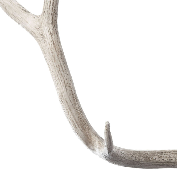 Atlas Weathered Resin Elk Antler Decor - Rustic White Finish for Home Accents & Nature-Inspired Displays AC11671-01