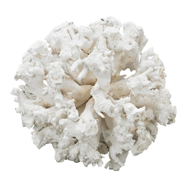 Atlas Whitefield Oversized Gnarly Wood Sphere – Coastal Driftwood Decor for Modern Home & Office Spaces AC11680-01