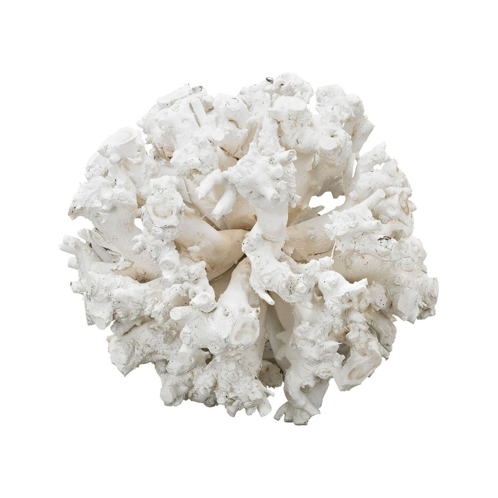 Atlas Whitefield Oversized Gnarly Wood Sphere – Coastal Driftwood Decor for Modern Home & Office Spaces AC11680-01