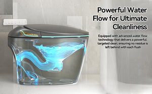 English Elm Unique Smart One Piece Toilet with Bidet Foot Sensor Auto Lid Warm Dryer Night Light W3133P384914