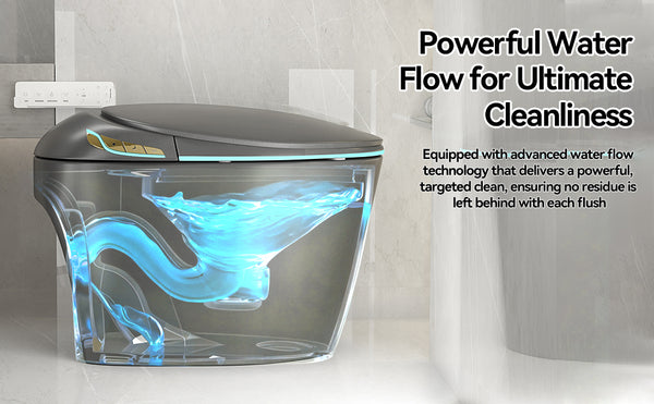 English Elm Unique Smart One Piece Toilet with Bidet Foot Sensor Auto Lid Warm Dryer Night Light W3133P384914