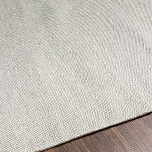 Surya Acacia Eco-friendly Handmade 2' X 3' Area Rug - Durable, Easy To Clean, Perfect For Modern Homes Light Gray Recycled Pet Yarn Acc2300-23