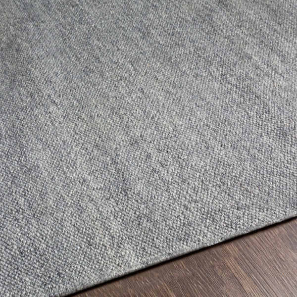 Surya Acacia Eco-friendly Handmade 2' X 3' Area Rug - Durable, Easy To Clean, Perfect For Modern Homes Gray Recycled Pet Yarn Acc2301-23