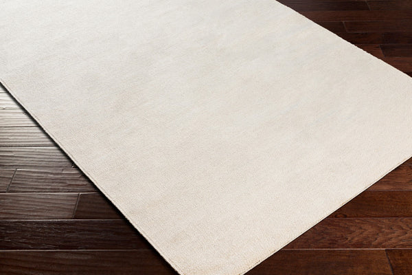 Surya Acacia Eco-friendly Handmade 2' X 3' Area Rug - Durable, Easy To Clean, Perfect For Modern Homes Cream Recycled Pet Yarn Acc2302-23