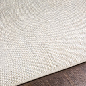 Surya Acacia Eco-friendly Handmade 2' X 3' Area Rug - Durable, Easy To Clean, Perfect For Modern Homes Light Gray Recycled Pet Yarn Acc2303-23