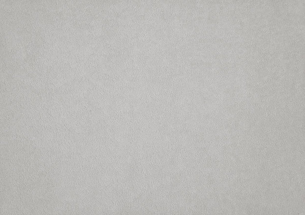 English Elm Modern Plush Bouclé Side Chairs Set of 2 — Curved Minimalist Design, Plywood Frame, Fully Assembled Comfort Light Gray 30 L x 24.5 W x 35 H B011P355864