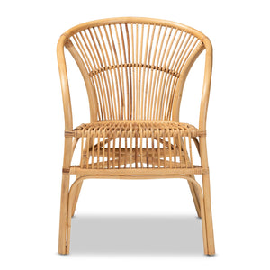 English Elm Modern Bohemian Rattan Woven Metal Dining Chairs Set of Two for Eclectic Spaces B2750P420353