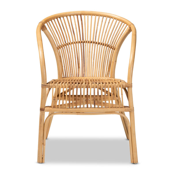 English Elm Modern Bohemian Rattan Woven Metal Dining Chairs Set of Two for Eclectic Spaces B2750P420353