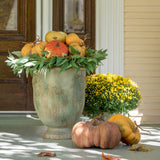 Kentucky Field Pumpkin Collection, Set of 5, Assorted Styles FBY80038 Park Hill